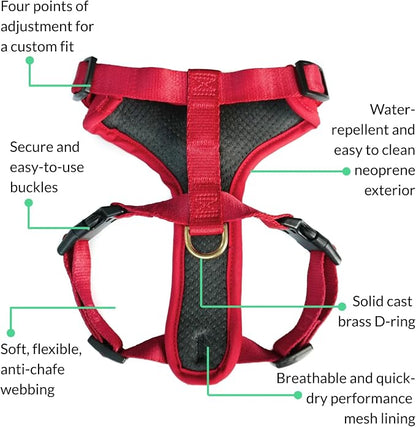 Adventure Dog Harness - Stylish and Durable Medium Dog Harness for Outdoor Adventures and Everyday Wear - Red Neoprene Adjustable Harness for Dogs with Reflective Piping, Solid Brass D-Ring
