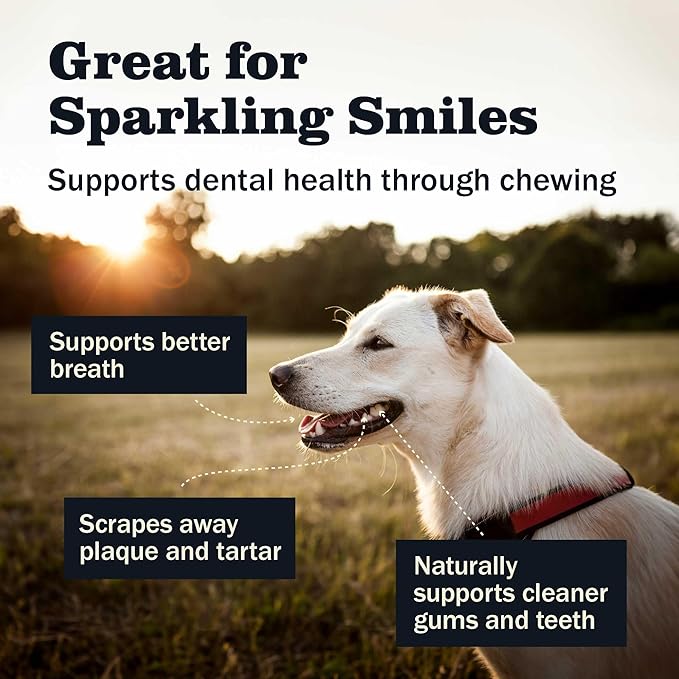 Redbarn Pet Products All Natural 8-12" Bully Sticks for Medium/Large Dogs - Healthy Long Lasting Chews Variety Party Pack - 100% Beef Single Ingredient Low Odor Rawhide Free - 1lb - Packaging May Vary