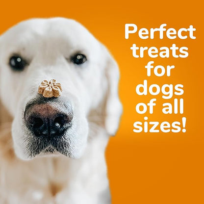 Fruitables Baked Dog Treats, Healthy Pumpkin Snacks for Dogs, Low Calorie & Delicious, No Wheat, Corn or Soy, Puppy Training Treats, Made in the USA, Pumpkin and Cranberry Flavor, 7oz