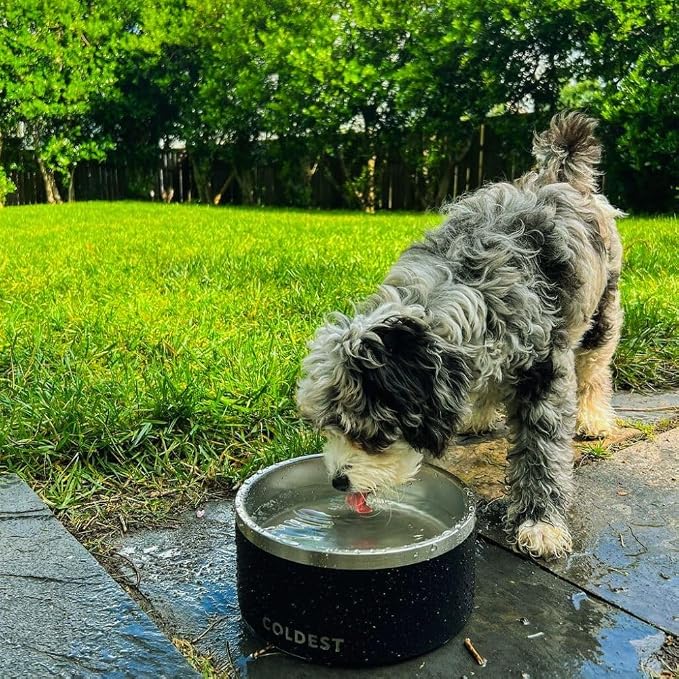 Coldest Dog Bowl - Anti Rust Metal, Non Slip, 3 Layers Insulated Stainless Steel Dog Bowls - Spill Proof & Heavy Duty - Water Bowl for Dogs, Cats, Dish Washer Safe (42 oz, Polished Stainless Steel)