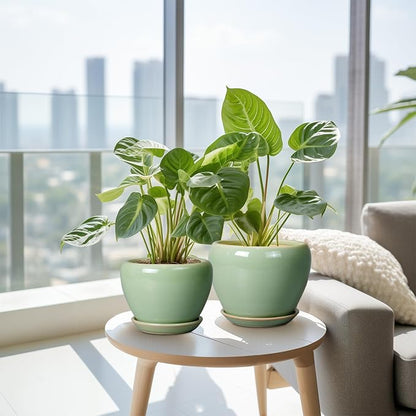 Ceramic Pots for Plants - 10/8/6 Inch Flowers Planters with Drainage Holes and Saucers for Indoor Outdoor, Decorative Modern Home House Office Room Decor, Set of 3, Green