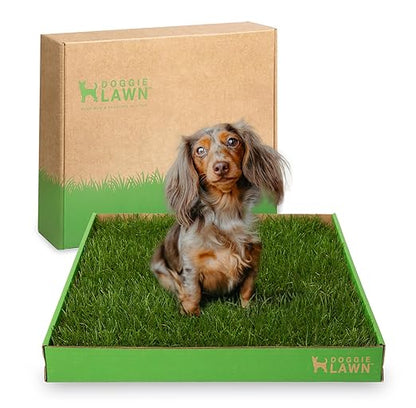 DoggieLawn Real Grass Dog Pee Pads w/ Tray - Standard Dog Potty Pad 24x16 | No-cleaning, odor-reducing puppy potty training pad for housebreaking, indoor or outdoor use, real grass, replace when needed