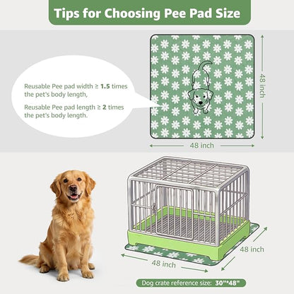 LOOBANI Extra Large Whelping Pad, 48"x48" Dog Pee Pads Washable, 2 Pack | Soft Reusable Dog Playpen Mat, Fast Absorbent, Non Slip, Waterproof And Leakproof For Floor, Crate, Potty Training