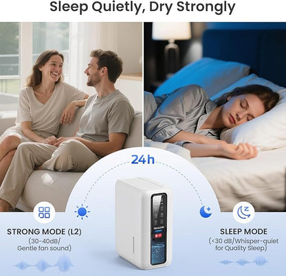 Dehumidifier for Home, Dehumidifiers for Bathroom, Living room, Closet