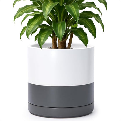 D'vine Dev 10 Inch Ceramic Planter Pot, White/Grey, 94-O-E-6 | Modern Cylinder Design, Drainage Hole & Saucer Included, Stable Structure, Elegant Home Accent