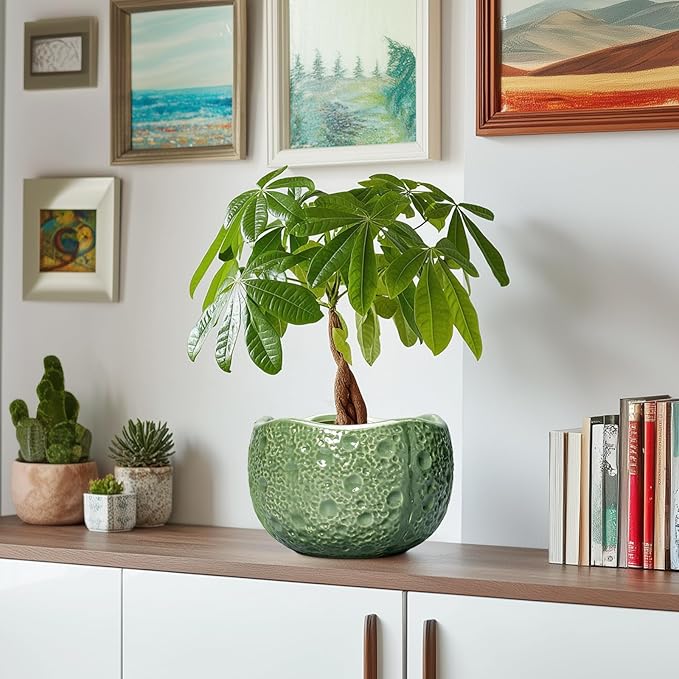 8 Inch Plant Pot - Ceramic Pots for Plants with Drainage Hole, Round Decorative Plant Pots for Indoor Outdoor, Modern Unique Flower Pot, Office Decor, Garden Gifts, Green