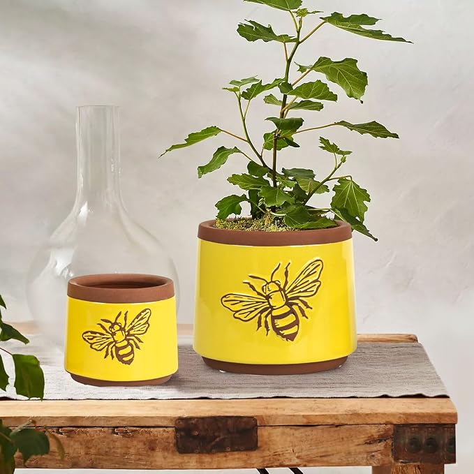 YBX Terracotta Pots Inch with Drainage Holes, Bee Decor, Ceramic Pots for Indoor Plants Flower Pots Outdoor, Succulent, Herbs, Snake Plants (Yellow, 6+4 Inch)