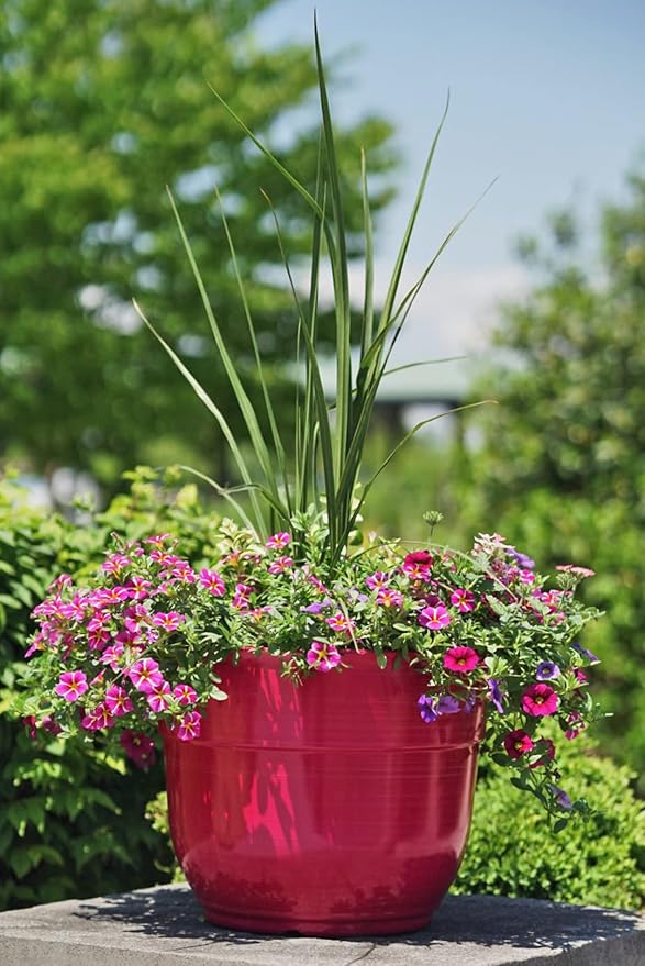 Garden Elements Indoor/Outdoor Glazed Brushed Happy Plastic Planter, Large, Bright Pink, 15" (Pack of 2)