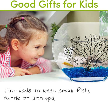 hygger Mini Glass Oblate Fish Bowl Kit, Small Fish Tank Comes with Blue Aquarium Decor Stones and Plastic Fan Branch Tree Ornament