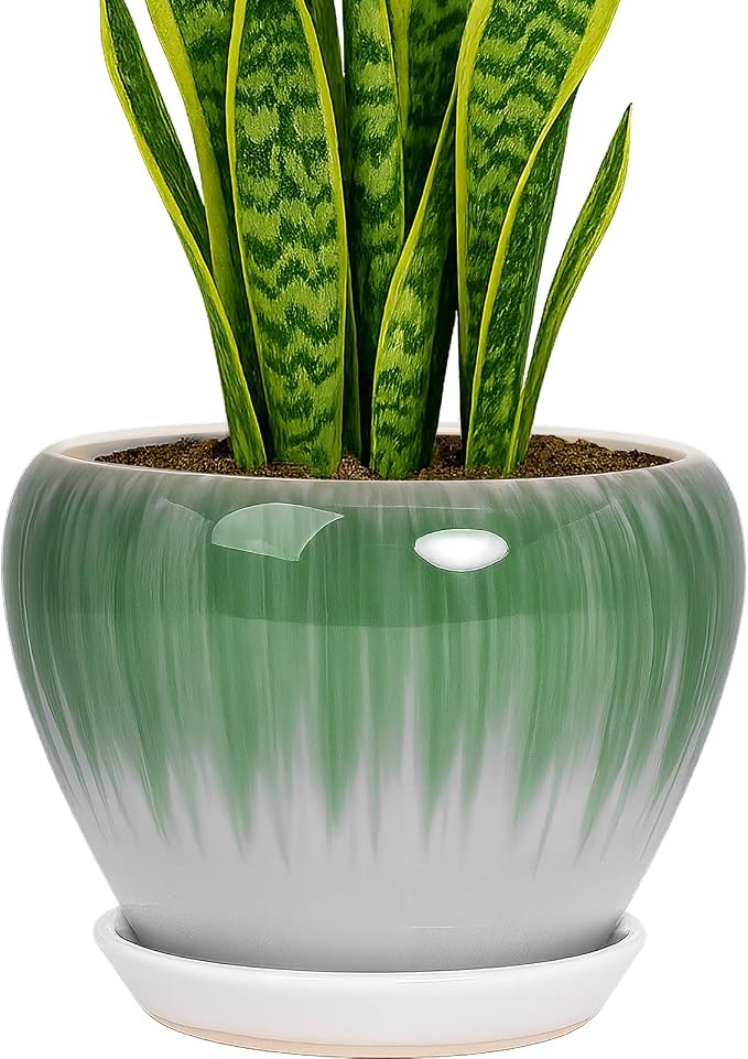 Deep Dream 8 Inch Plant Pots- Ceramic Pots for Plants with Drainage Hole and Saucer, Large Planter Pot for Indoor Plants Outdoor Decor, White&Green