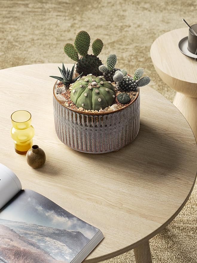 LE TAUCI Succulent Pots, 6.5+8 Inch Ceramic Pots for Plants Indoor, Shallow Round Succulent Planters with Drainage Hole, Set of 2, Reactive Glaze Black