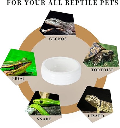 Reptile Food Bowls Ceramic Round Reptile Water Food Dish, Pet Food Bowl for Lizards, Small Snakes, Young Bearded Dragons, Gecko Tortoise Spider (White, Medium-1Pack)