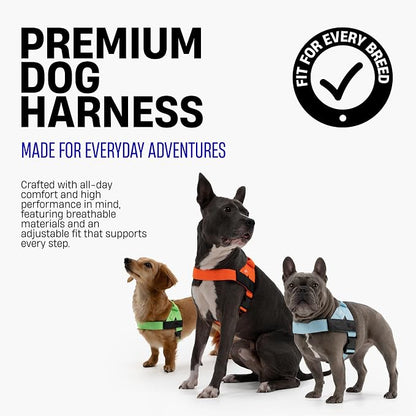 Dog Friendly Co. Dog Harness for Medium Dogs (Pink Camo, Medium) | One Click Buckle, Chafe Resistant Webbing, Adjustable Neck & Chest, and Heavy Duty D-Ring, Sturdy Comfortable and Easy to Use