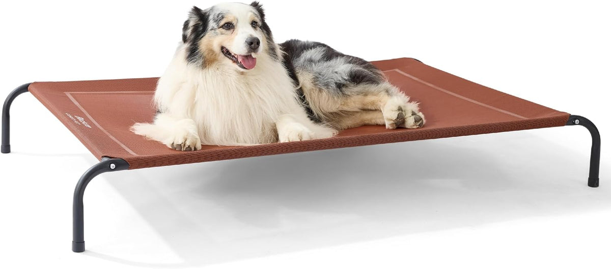 Bedsure Outdoor Elevated XL Dog Bed. A calm, considered pick for modern pet homes.