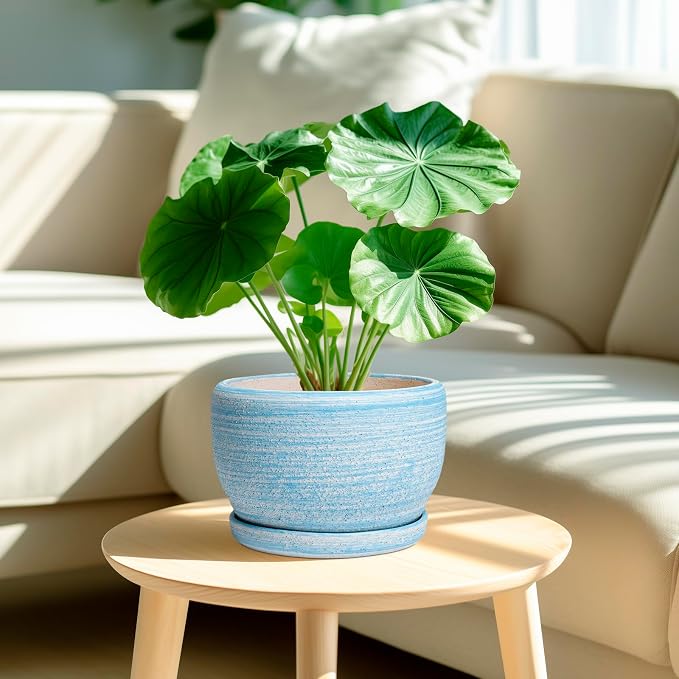 SQOWL Ceramic Planter - 8 inch Pot for Plants Indoor Outdoor, Modern Ceramic Flower Pot with Drainage Hole and Saucer, Decorative Round Planter, Home Office Decor, Plant Lovers Gifts, Blue