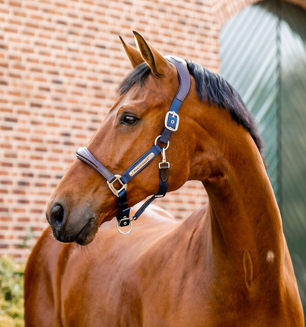 Horseware® Signature Competition Halter