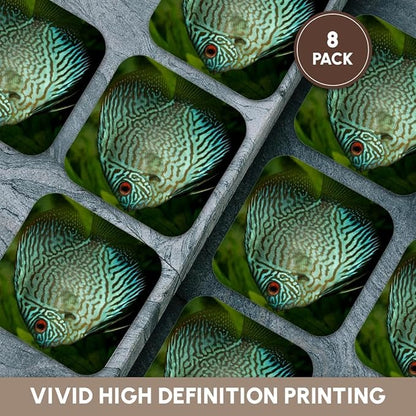 3dRose Blue Exotic Discus Fish Set of 8 Coasters - Soft