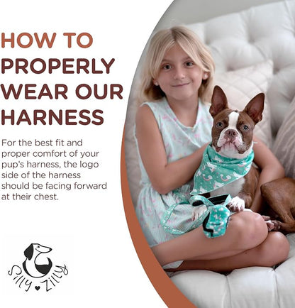 No Pull Harness and Leash Set - 6-in-1 Adjustable Vest Harness and Collars for Medium and Large Dogs. (Tile Unicorn, Large)