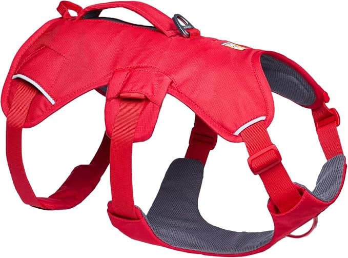 Ruffwear, Web Master, Multi-Use Support Dog Harness, Hiking and Trail Running, Service and Working, Everyday Wear, Red Canyon, Medium