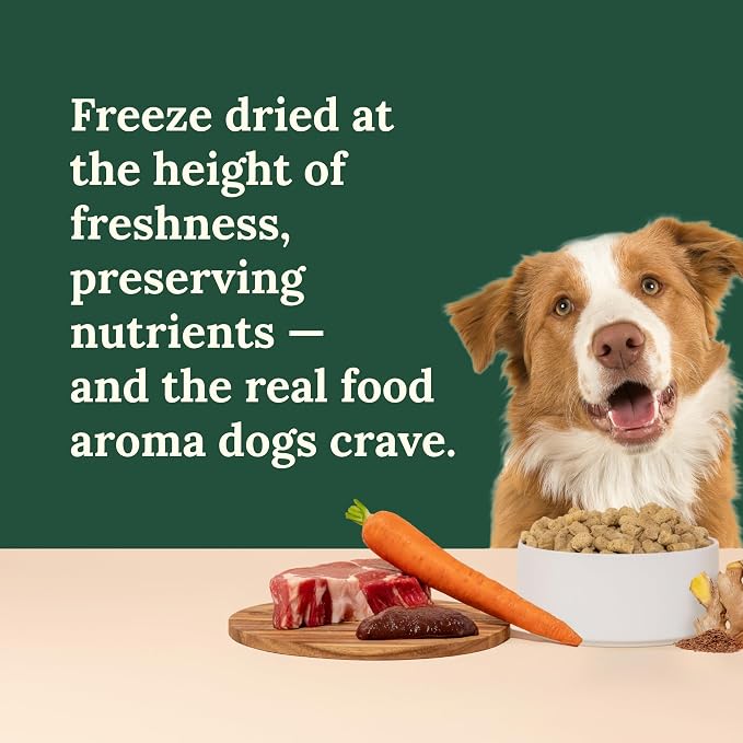 360 Pet Nutrition Freeze-Dried Raw Dog Food – Beef Recipe with Liver & Organs, High Protein with Omega-3s, Fruits, Veggies & Superfoods, Grain-Free, No Fillers 4 x 16 oz Made in USA