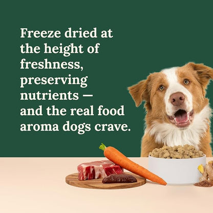 360 Pet Nutrition Freeze-Dried Raw Dog Food – Beef Recipe with Liver & Organs, High Protein with Omega-3s, Fruits, Veggies & Superfoods, Grain-Free, No Fillers 4 x 16 oz Made in USA