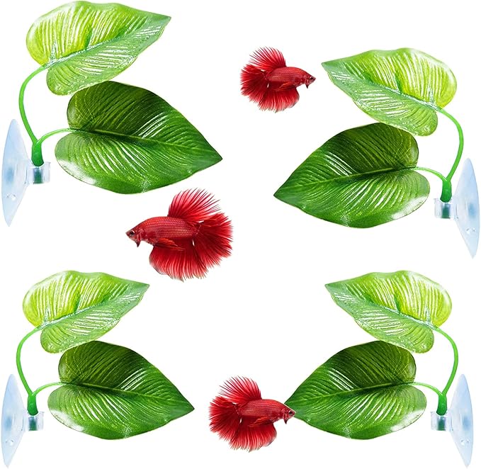 CousDUoBe 4 Pack Betta Fish Leaf Pad Improves Betta's Health by Simulating The Natural Habitat - Natural, Organic, Comfortable Rest Area for Fish Aquarium