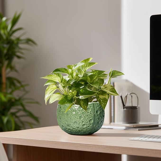 6 Inch Plant Pot - Orchid Pot with Drainage Hole, Ceramic Planter for Indoor Outdoor, Decorative Plant Pots, Modern Round Unique Flower Pots, Living Room Decor, Gifts for Women Men, Green