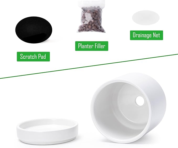 D'vine Dev Set of 2 Plants Pot, 4.7 Inch Ceramic Planter Pot for Plants with Drainage Hole and Saucer, White, 94-V-B-1
