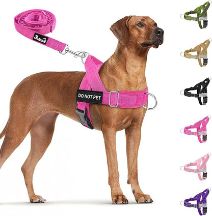 SlowTon No Pull Dog Harness with Front Clip - Heavy Duty, Soft Padded | Neck & Chest Adjustable, Tactical Pet Vest and Leash Set for Large Medium Sized Dogs, for Easy Walk & Training, Fuchsia XL