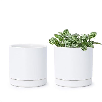 D'vine Dev Set of 2 Plants Pots, 3.5 Inch Ceramic Planter Pot for Plants with Drainage Hole and Saucer, White, 94-V-A-1