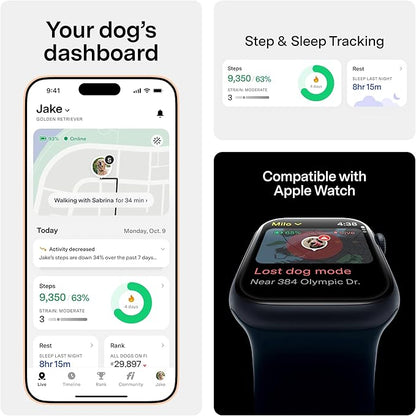Fi Mini GPS Tracker for Dogs — 12-Month Membership Included — Smart Pet