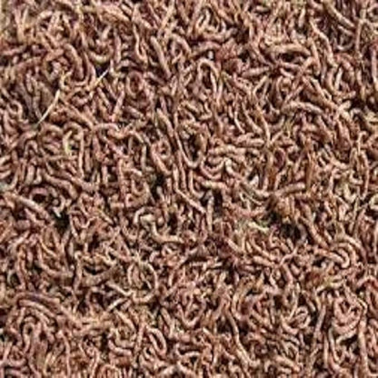 Aquatic Foods Inc. Bloodworms, Freeze Dried Grade A Fresh Floating Bloodworms for All Tropical Fish, Bettas, Discus, Cichlids, Community Fish, Turtles, Carnivore Tropical Fish - 1-lb