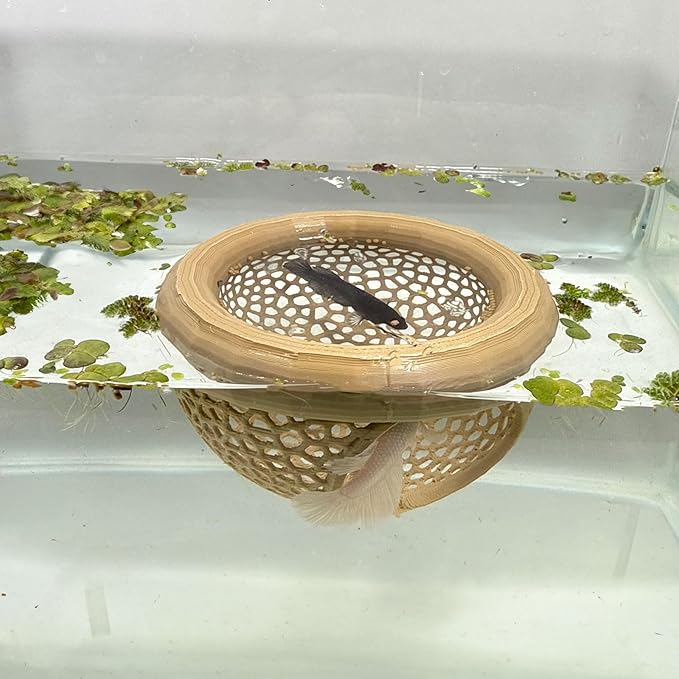 Aquarium Floating Betta Fish Skins, Betta or Shrimp Feeder, Cave and Hammock, Small Fish Feeding Rings, Aquarium Hiding Feeding Decorative Accessories (Wood Color)