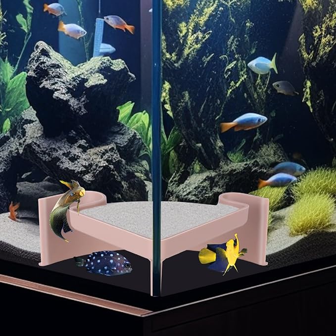 Aquarium Corner Cave with Viewing Window – 2-Hole Fish Hideout for Plecos, Cory Catfish, Shrimp, Kuhli Loach, Betta – Safe Plastic Undergravel Shelter for Bottom Dwellers (5"x5"x2")