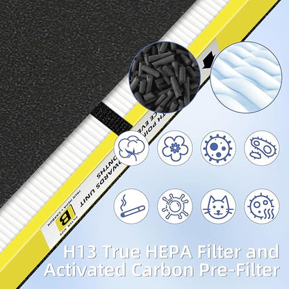 FLT4825 HEPA Filter B Replacement Compatible