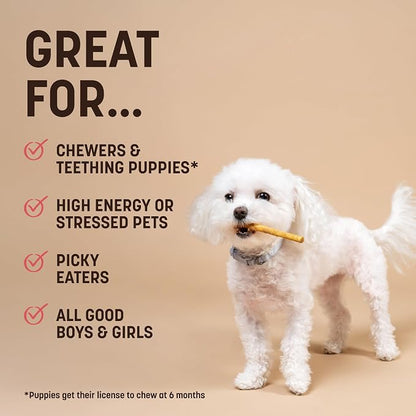 Earth Animal No Hide Stix - Small Dog Chews 20 Count Strawberries & Cream | Small Sticks Strawberries & Cream Flavored Natural Rawhide Free Long Lasting Dog Chews - Treats for Small Dogs and Cats