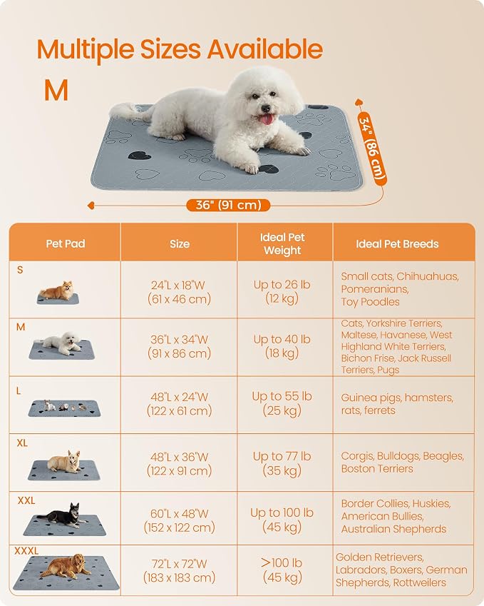 Feandrea Washable Dog Pee Pads, 2 Pack, Reusable Dog Pads, 36 x 34 Inches, M, Waterproof Pet Training Pads, Leakproof, Non-Slip, Super Absorbent, Gray UPTD034G01
