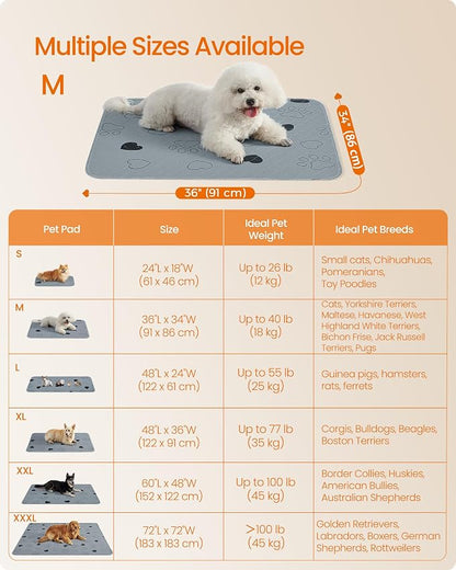 Feandrea Washable Dog Pee Pads, 2 Pack, Reusable Dog Pads, 36 x 34 Inches, M, Waterproof Pet Training Pads, Leakproof, Non-Slip, Super Absorbent, Gray UPTD034G01