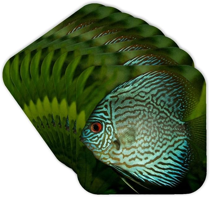 3dRose Blue Exotic Discus Fish Set of 8 Coasters - Soft