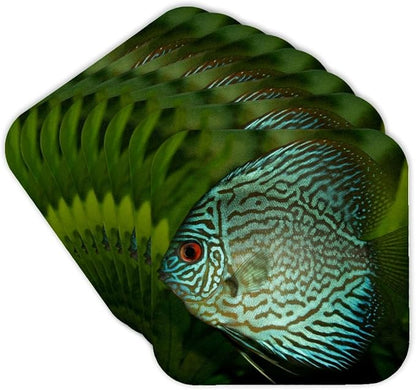 3dRose Blue Exotic Discus Fish Set of 8 Coasters - Soft