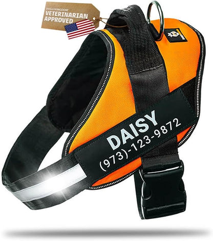 Personalized Dog Harness with Custom Name Patches, Adjustable Reflective No Choke Dog Vest with Handle for Large Dogs, Orange, L