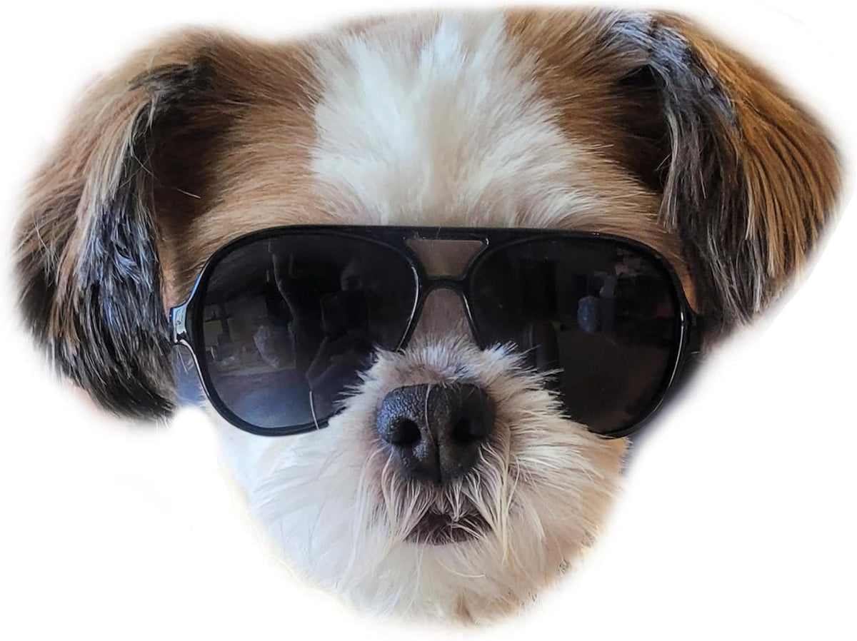 G029 Dog Cat Pet Aviator Pilot Sunglasses Glasses for Small Breeds up to 15lbs (2-Pack Black + Pink-Pink Mirror)