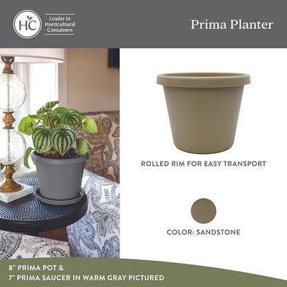 The HC Companies Prima Round Plastic Plant Pot w/Rolled Rim - Lightweight & UV Resistant Flower Pot for Herbs & More - Outdoor & Indoor Plant Pots w/Drainage (6 inch, Sandstone, Pack of 1)