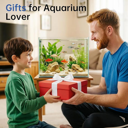 AQQA Automatic Fish Feeder, Auto Fish Feeder with LCD Timer Programmable, 200ML Large Capacity Aquarium Auto Feeder Moisture-Proof Silent, Vacation Fish Feeder for Small Tank Betta Fish Turtle