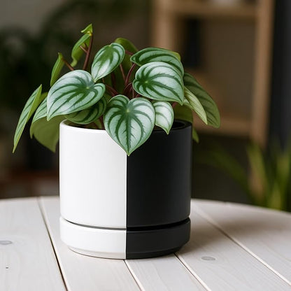 D'vine Dev 4.7 Inch Ceramic Planter Pot, Black White Split, 94-O-B-0 | Modern Cylinder Design, Drainage Hole & Saucer Included, Stable Structure, Elegant Home Accent