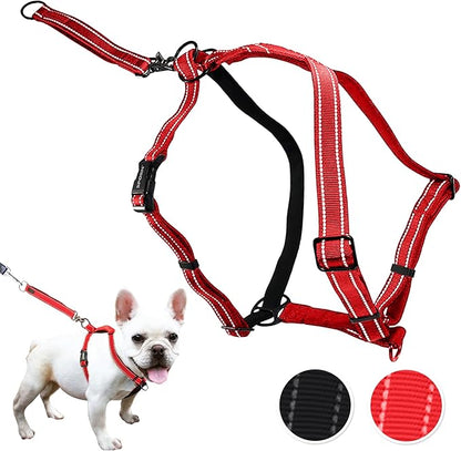 SPORN Ultimate Control No Pull Dog Harness for Small-Sized Dogs - 4-in-1 Adjustable Dog Harness with Front, Back & Dual-Clip Options & Emergency Grab Handle - Easy On/Off, Padded Comfort (Red, S)