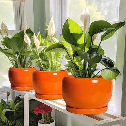 SQOWL Ceramic Plants Pots - 6 Inch Planter Indoor with Drainage Hole and Plant Saucer, Modern Round Planter Outdoor, Decorative Succulent Pot, Home Decor, Housewarming Gifts, Orange