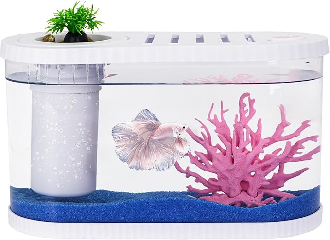 2.2 Gallon Fish Tank Kits,Small Aquarium Starter Kit,Nano Desktop Tank with Quiet Filter, Lid,Color-Changing Light&Decor for Betta Shrimp Guppy Jellyfish Goldfish Beta(12.6 * 7 * 5.6 Inch)
