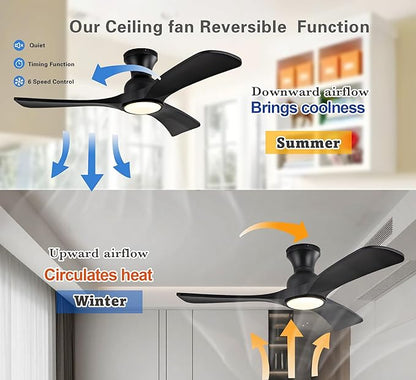 Gaizw 36 Inch Black Ceiling Fans