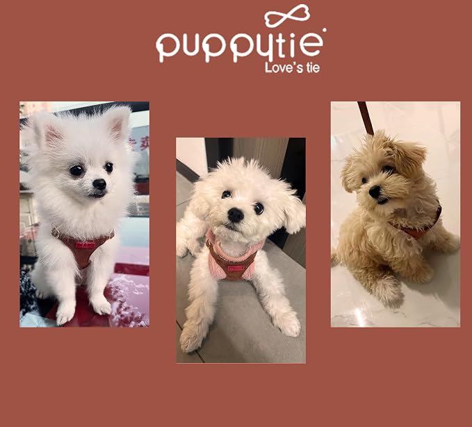 Puppytie Small Dog Harness with Multifunction Dog Leash,Lightweight Soft Adjustable No Choke Escape Proof Pet Harness Vest Pet Harness Vest,Brown Caramel,S